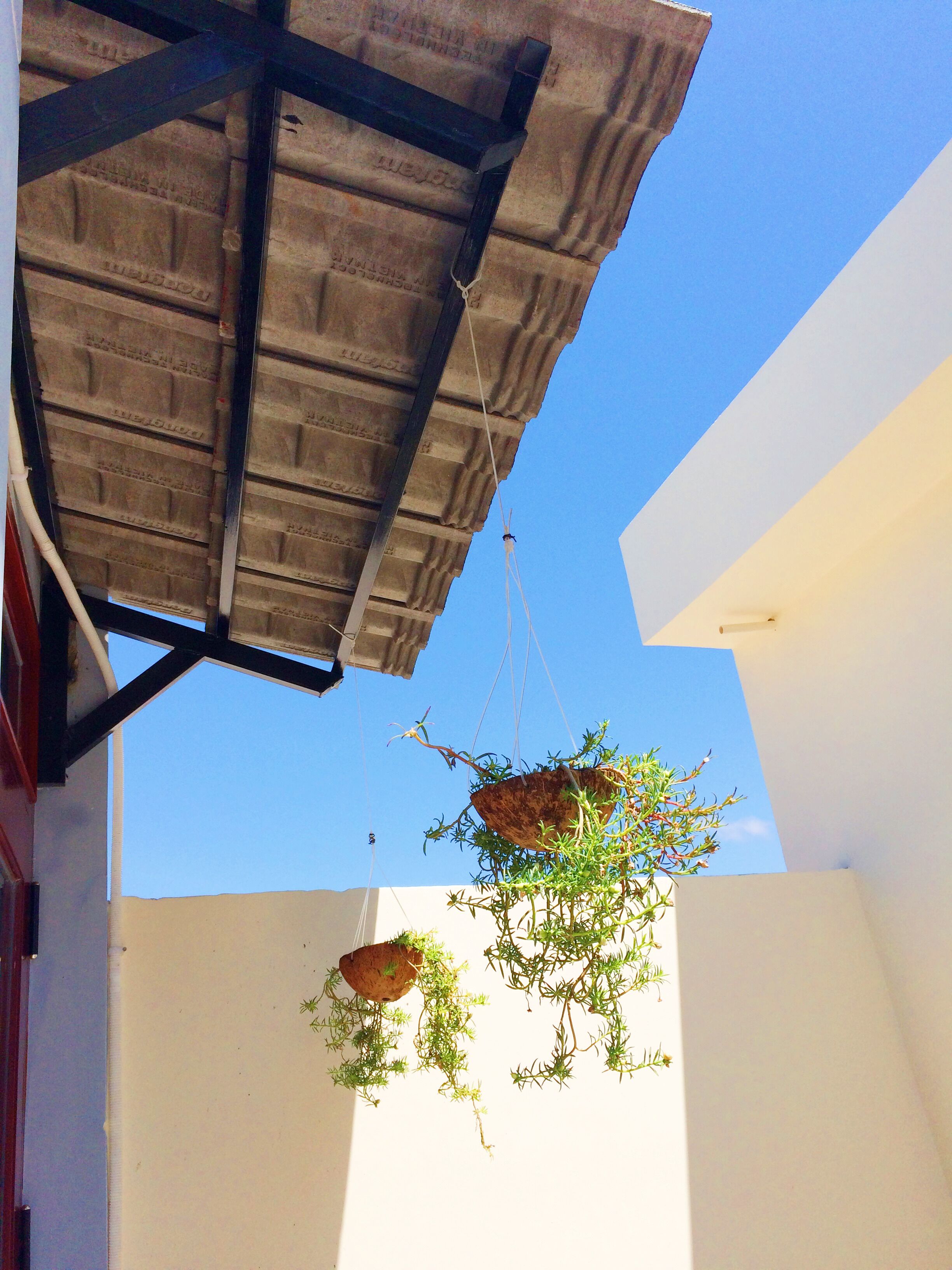 Área para banquetes al aire libre