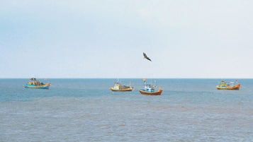 Pantai berhampiran