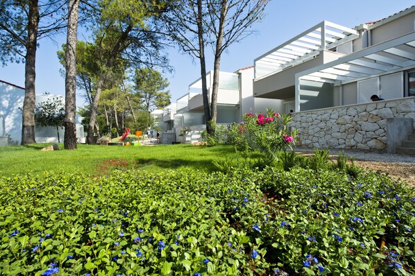 Terrain de l’hébergement 