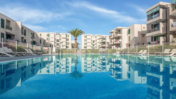 Uma piscina com espreguiçadeiras, uma palmeira e edifícios altos ao fundo.