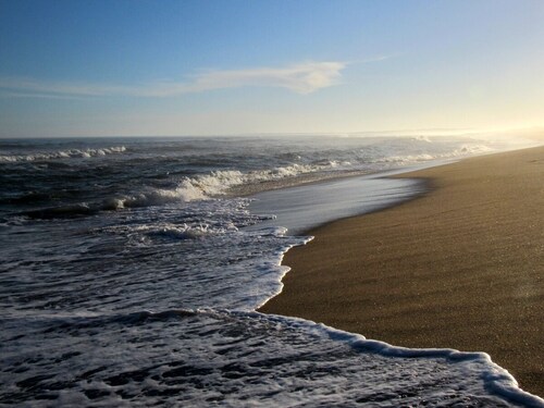 Refugio en el bosque, y a pasos del mar