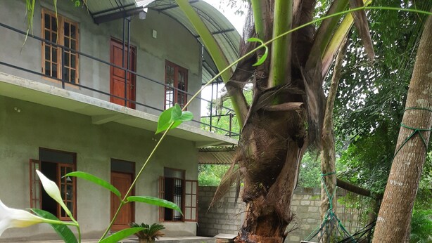 Front of property - Hotel Afenta (Mihintale)