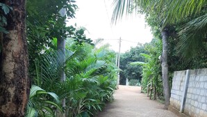 Garden - Hotel Afenta (Mihintale)