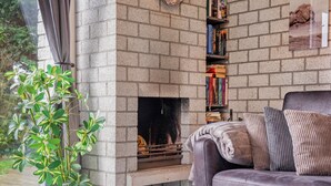 Una chimenea de ladrillo con una estantería, una planta en maceta y un sofá de cuero.