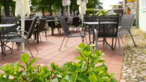 An outdoor seating area with tables and chairs, umbrellas, and a stone pathway. - Nordstern Restaurant & Pension (Gingst)