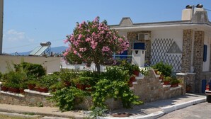 Un bâtiment aux murs de pierre et à la porte bleue, entouré de plantes en pot et d’un arbre en fleurs.