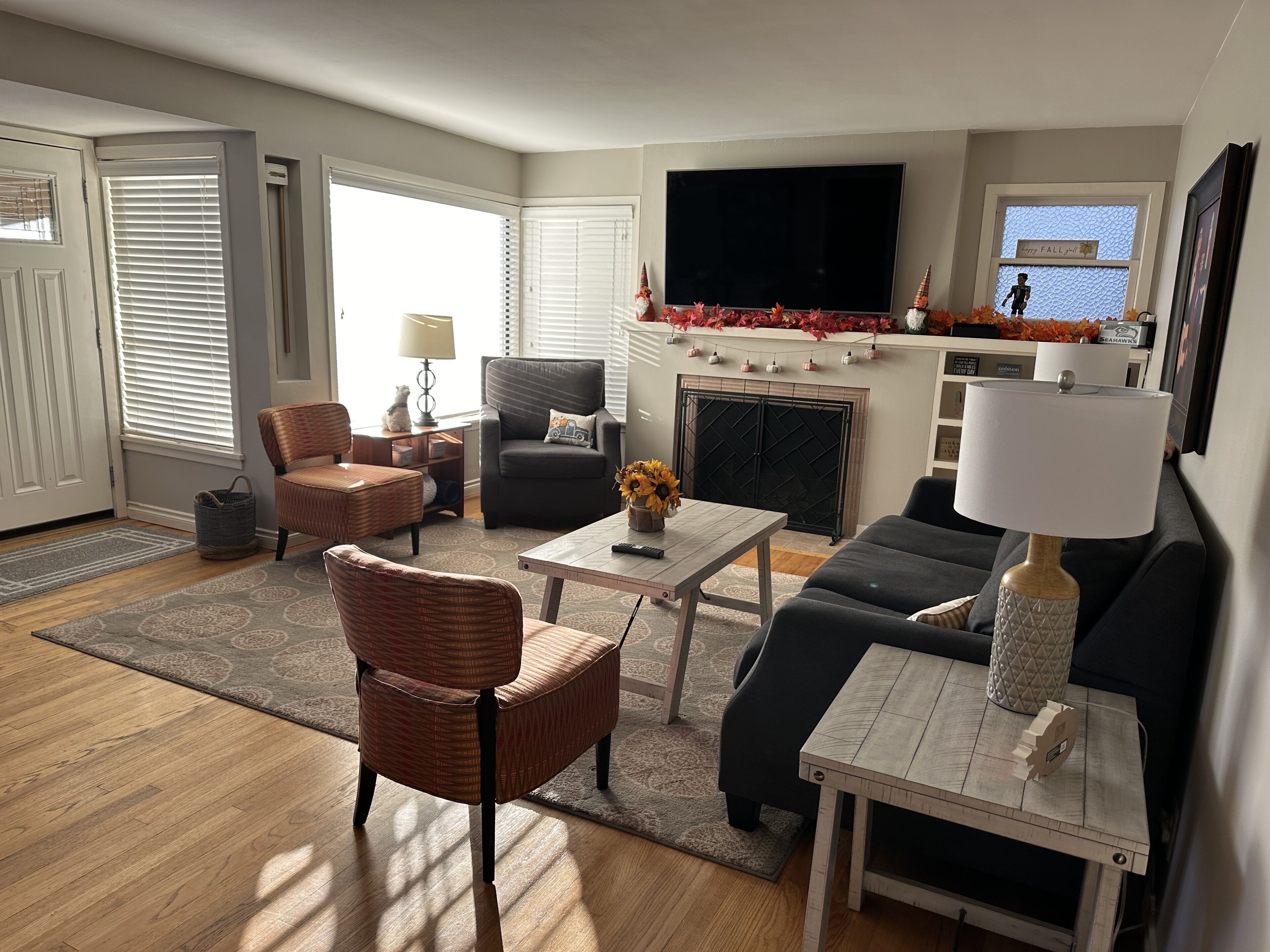 Smart TV, fireplace, DVD player, books