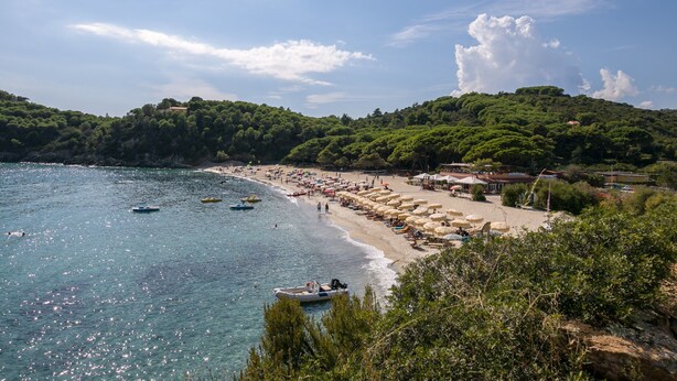 Una playa costera con barcos, sombrillas y una colina cubierta de vegetación densa.