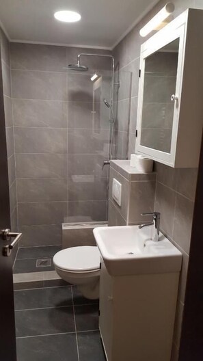 Appartement, 2 chambres | Salle de bain