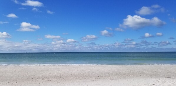 Sun-loungers - Beautiful St Pete Beach Vacation Condo Across the Street from the Beach (St. Pete Beach)