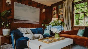 Smart TV, fireplace, books