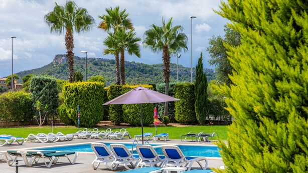 A pool area with lounge chairs and a palm tree.