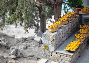 المنطقة المحيطة بالمنشأة