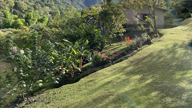 Un exuberante jardín con una variedad de plantas y flores, un césped bien cuidado y un edificio con techo inclinado.