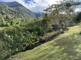 A lush garden with a variety of plants and flowers, a well-maintained lawn, and a building with a sloped roof.