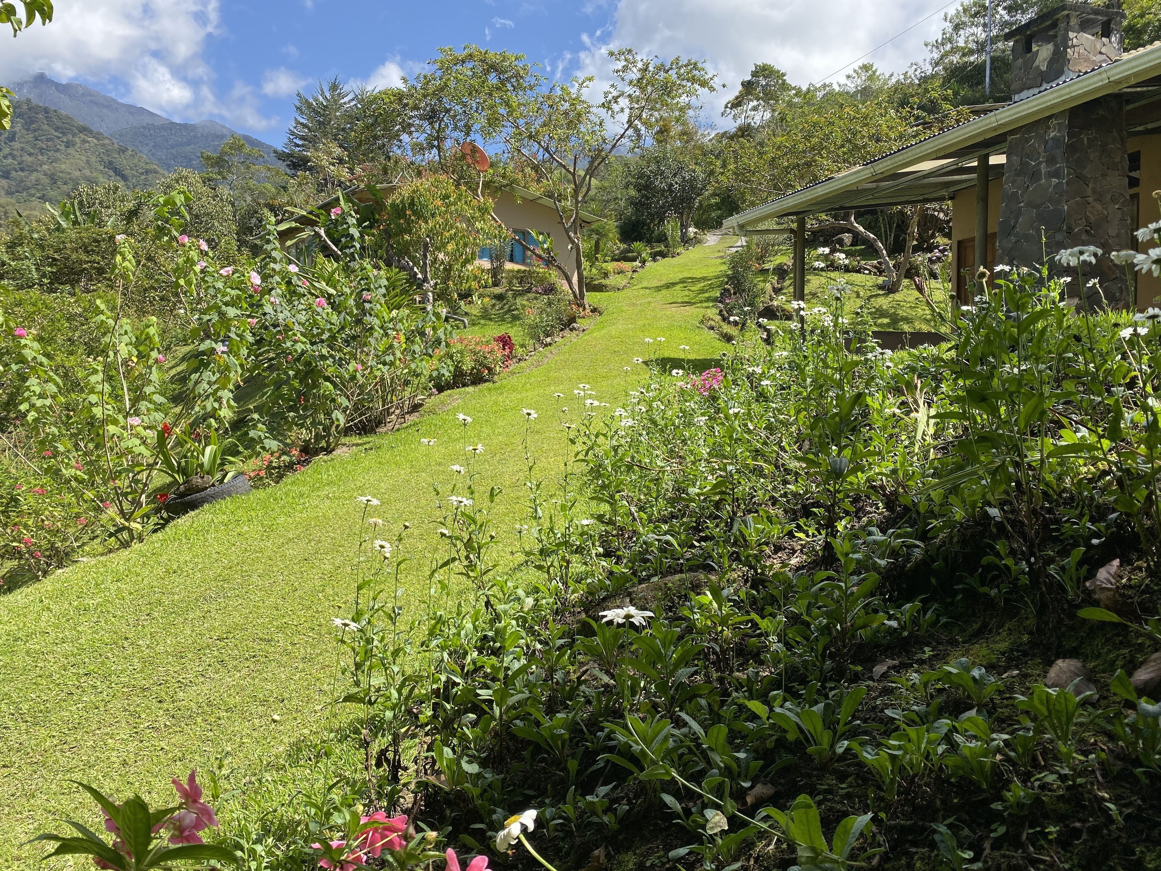 A garden pathway leading to a stone building with a covered patio area.