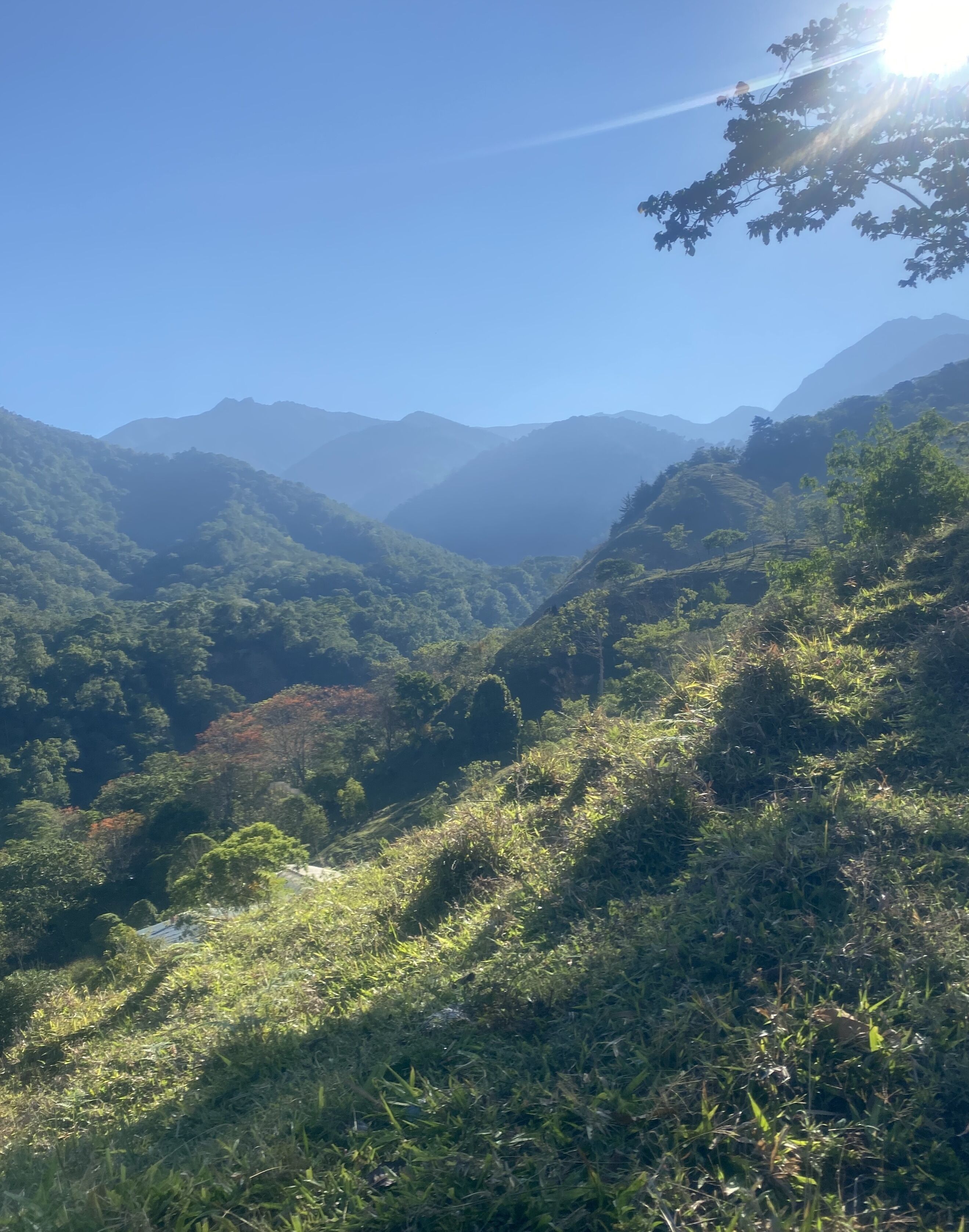 A mountainous landscape with lush greenery and a clear sky.
