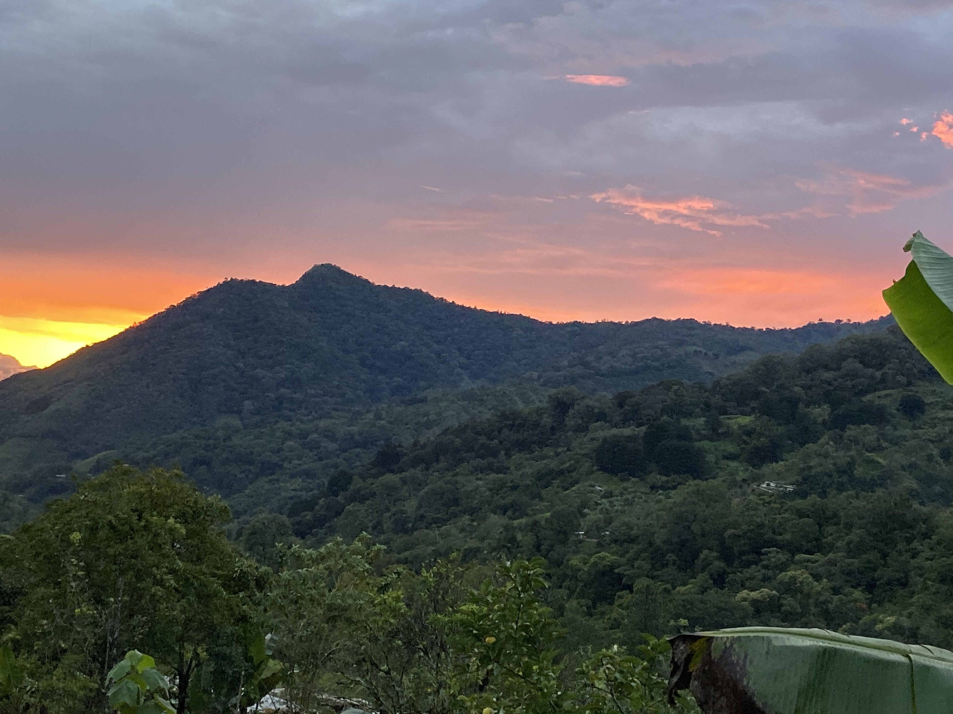 Paisaje montañoso con densa arboleda y un atardecer en el fondo.