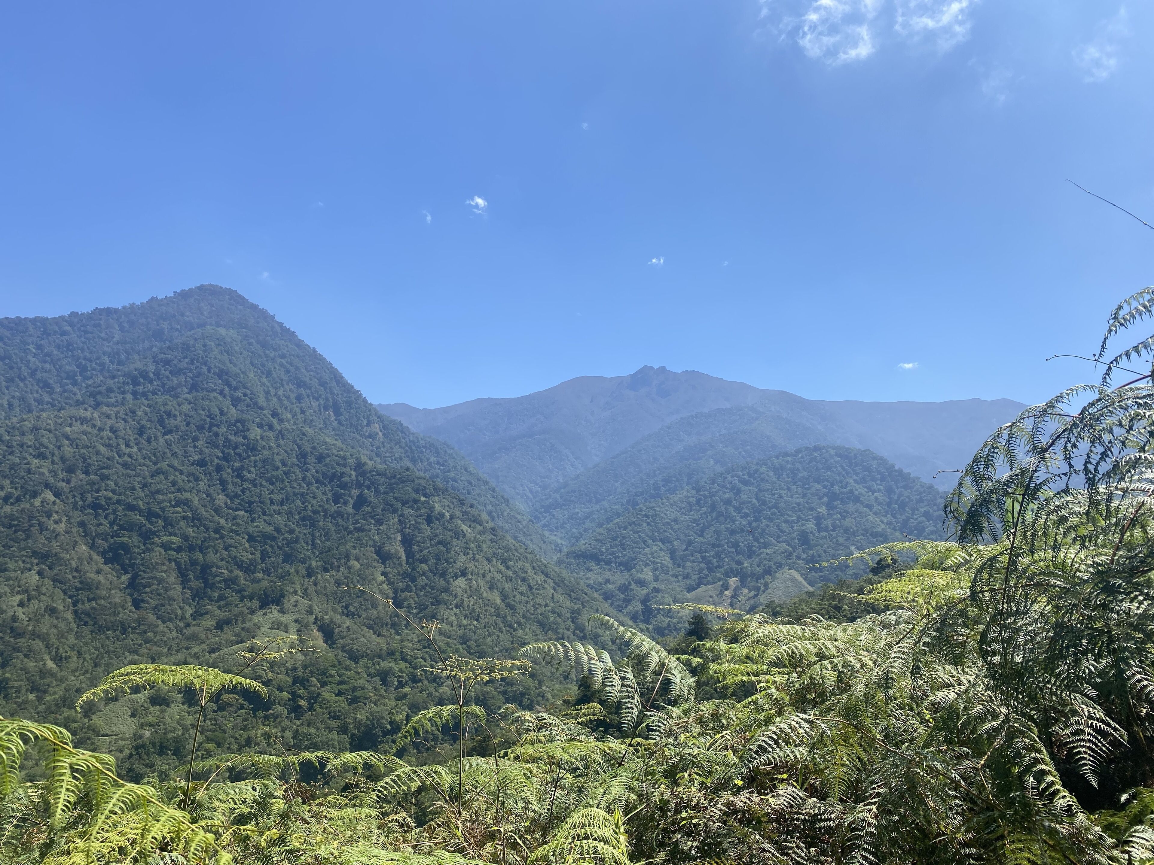 Un paysage montagneux, avec une végétation luxuriante et un ciel bleu dégagé.