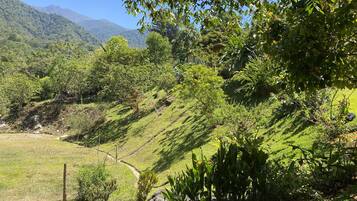 Un paisaje exuberante y verde con un sendero despejado, árboles y una cadena montañosa distante.