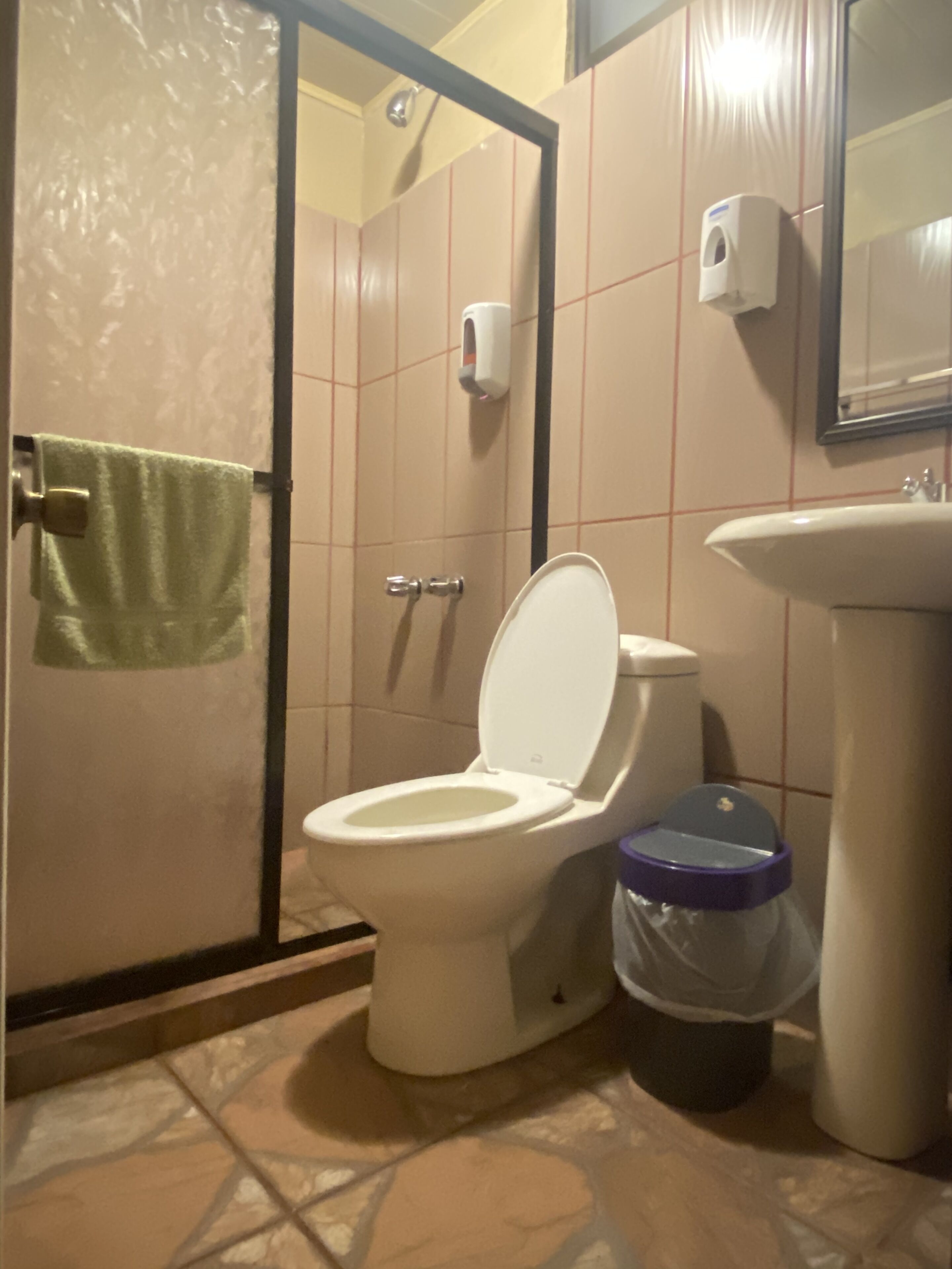 double room | bathroom | shower, free toiletries, towels