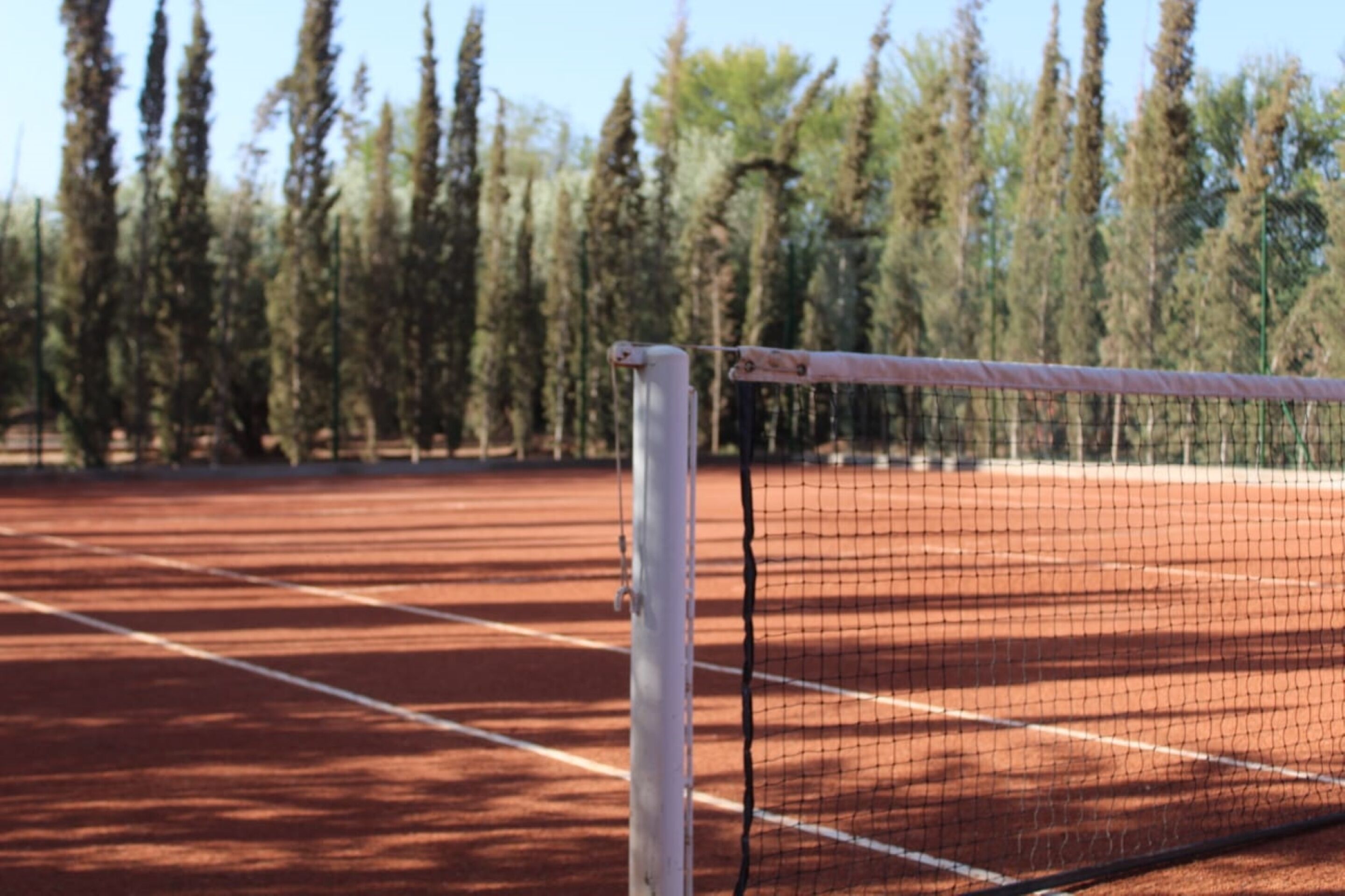 A tennis court with a net, surrounded by trees.