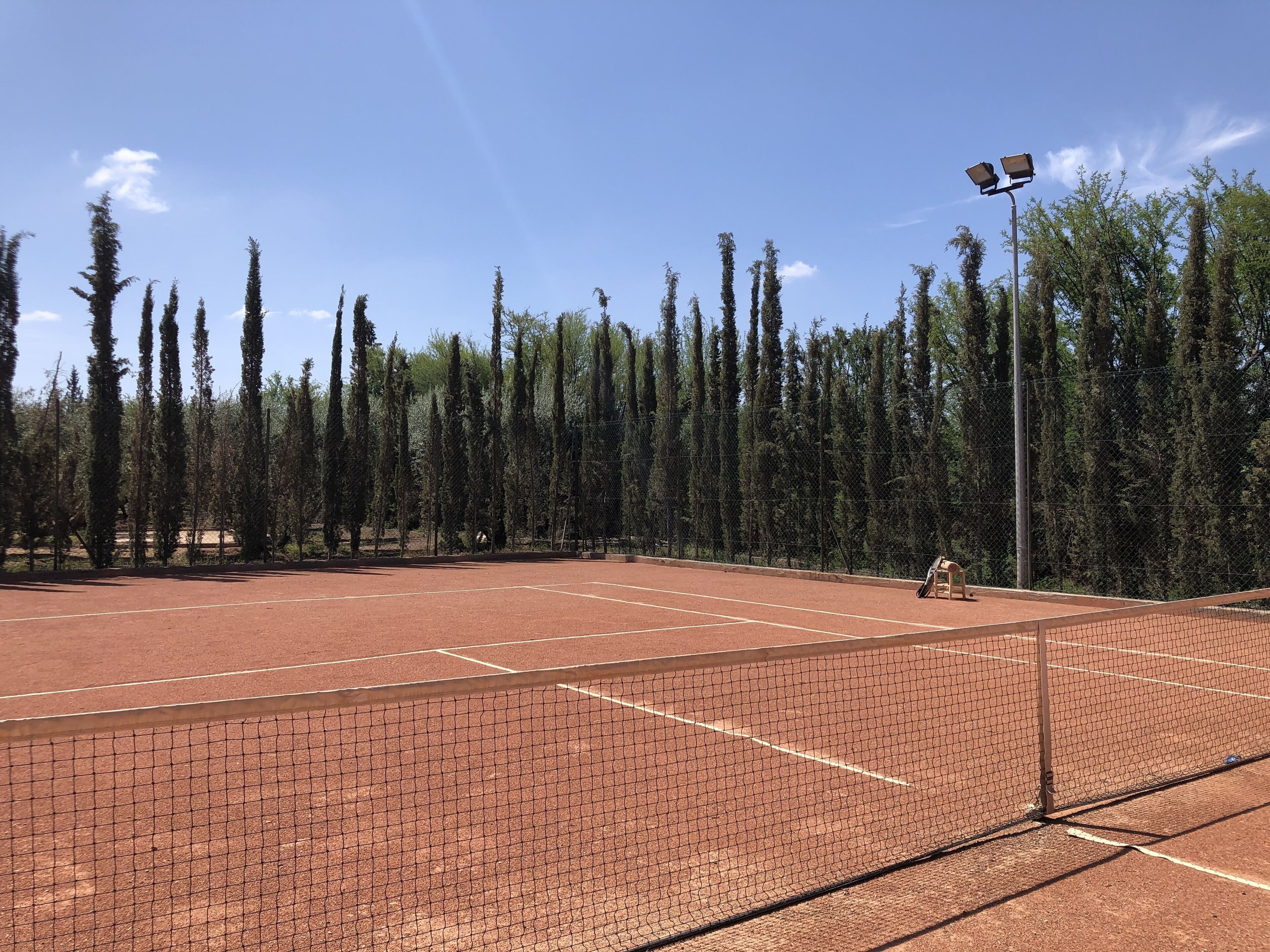 Una cancha de tenis con red, rodeada de árboles altos y un cielo despejado.