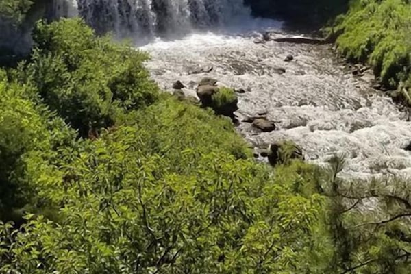 Hiking