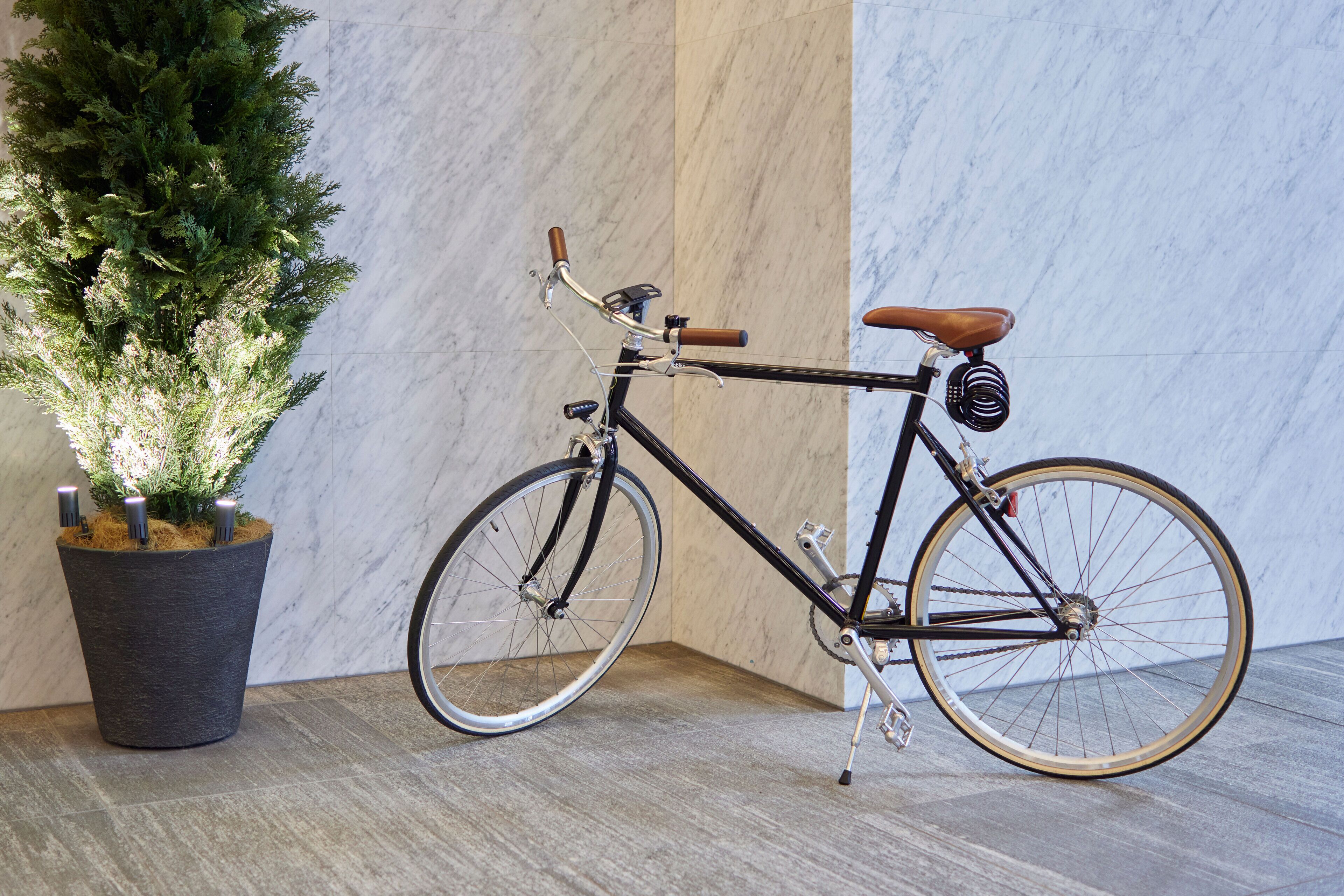 Een stilstaande fiets met een bruin zadel en handvatten, geplaatst naast een potplant met groene bladeren.