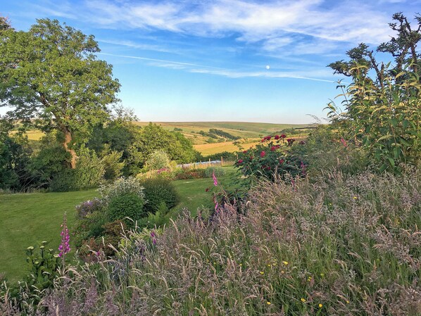A rural landscape with rolling hills, a clear sky, and a variety of vegetation including trees and flowering plants.