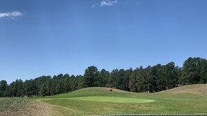 Een golfbaan met een vlag op de green, omgeven door een bos van hoge bomen onder een heldere blauwe lucht.