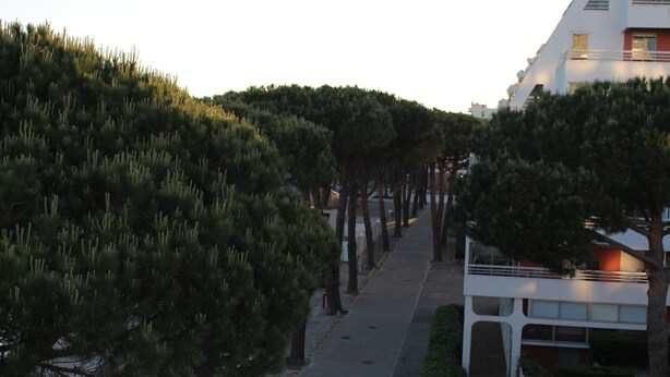 A tree-lined pathway leading to a modern building with a flat roof and large windows. - Loc Apartment Ben T3 - 6 to 8 people in La Grande Motte (LA GRANDE MOTTE)