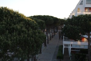 A tree-lined pathway leading to a modern building with a flat roof and large windows.