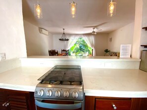 Fridge, oven, stovetop, coffee/tea maker