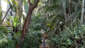 A narrow brick pathway flanked by dense tropical foliage, leading to a building entrance. - MARBELLA IN THE SPOTLIGHT, near the beach, for an effortlessly warm stay.  (Villa Las Flores)