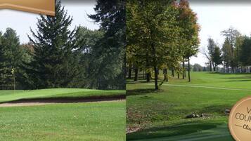 A golf course with a putting green, trees, and a flag.