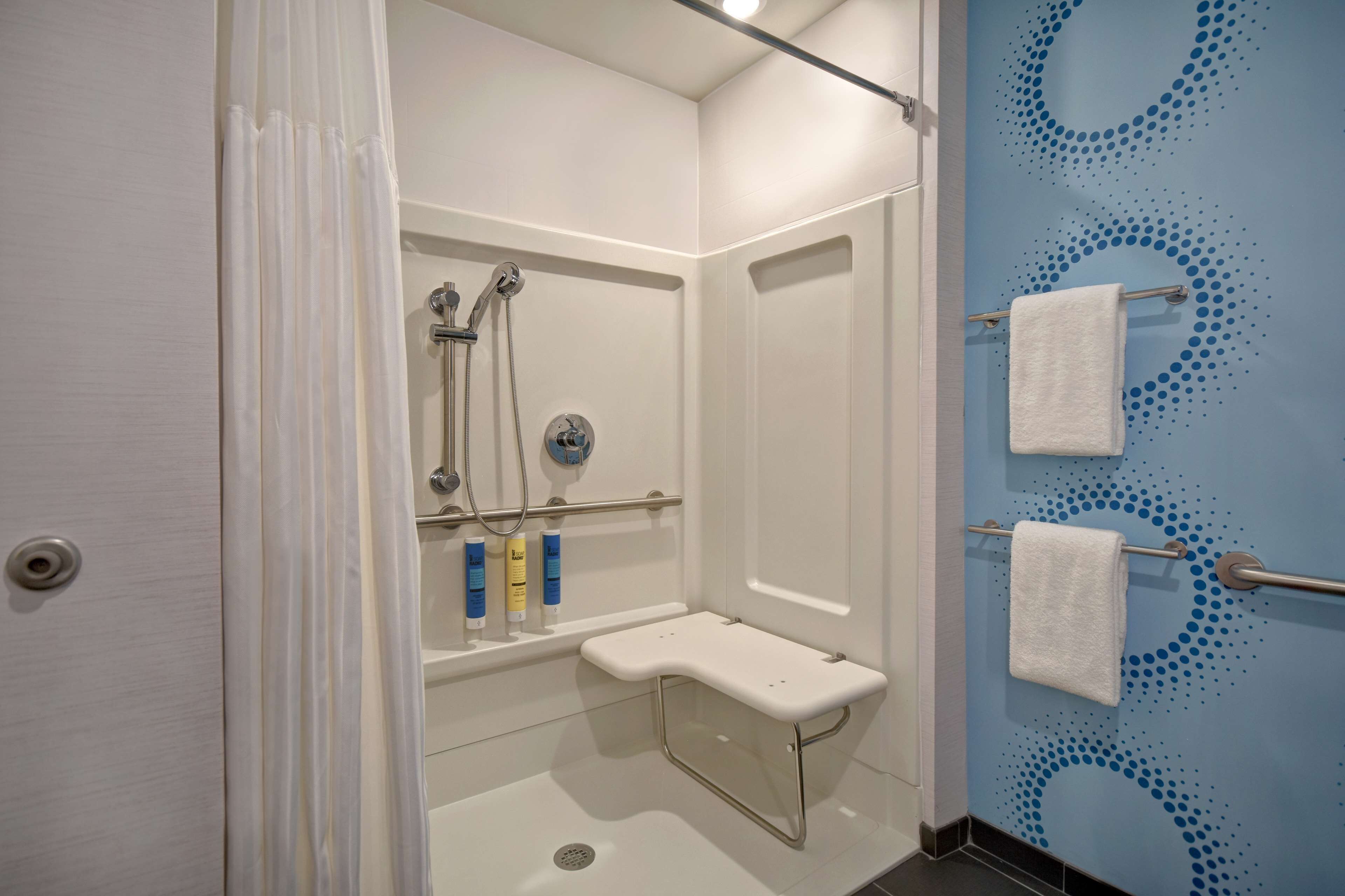 room, 1 king bed, accessible (mobility & hearing, roll-in shower) | bathroom | hair dryer, towels