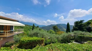 Property grounds - Hill Palace Villa, Private Pool, Sea View, Full Privacy, Easy Accessible by Car (Camaiore)