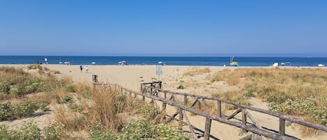 Playa en los alrededores y camastros