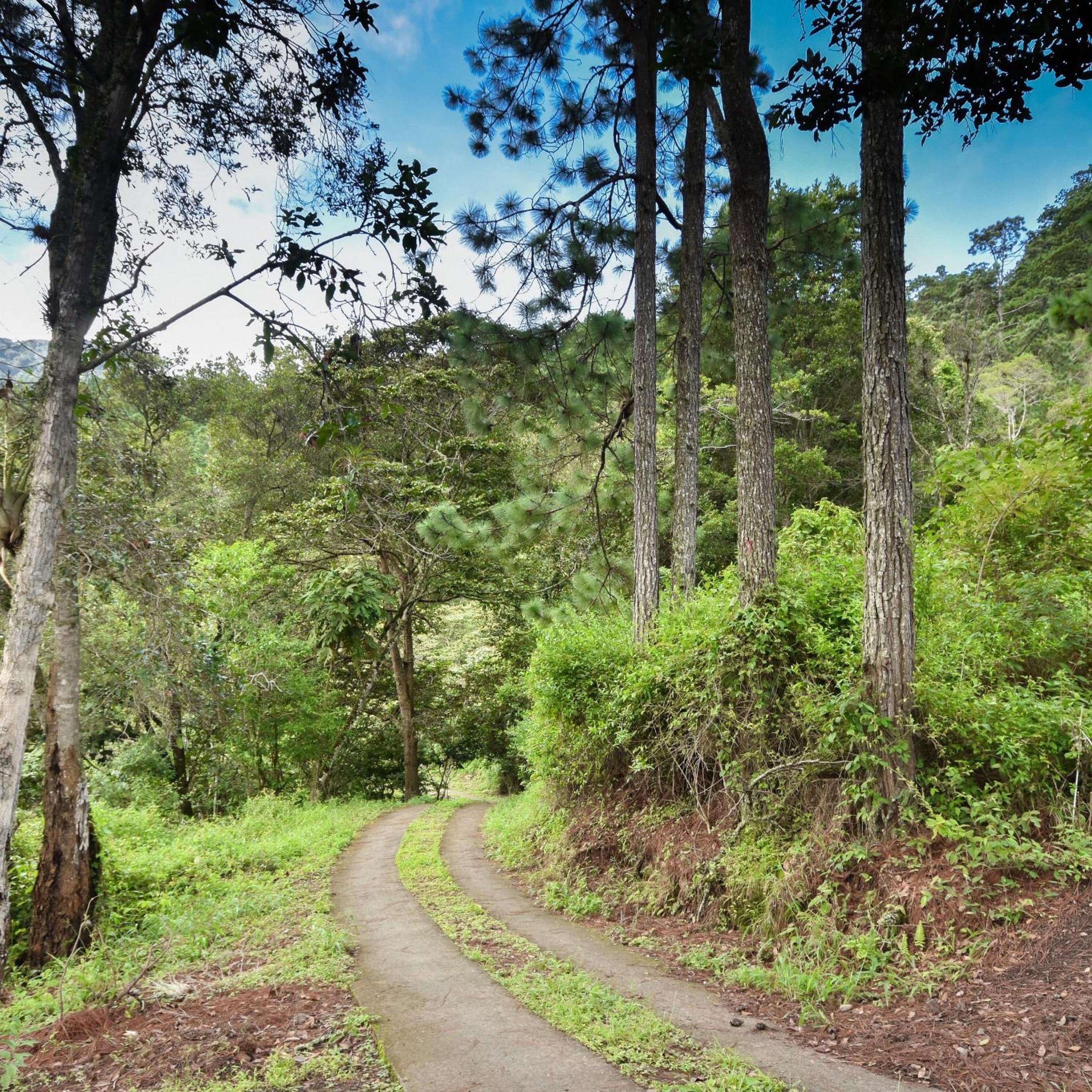 Photo - Uyuca Vista Family Villa