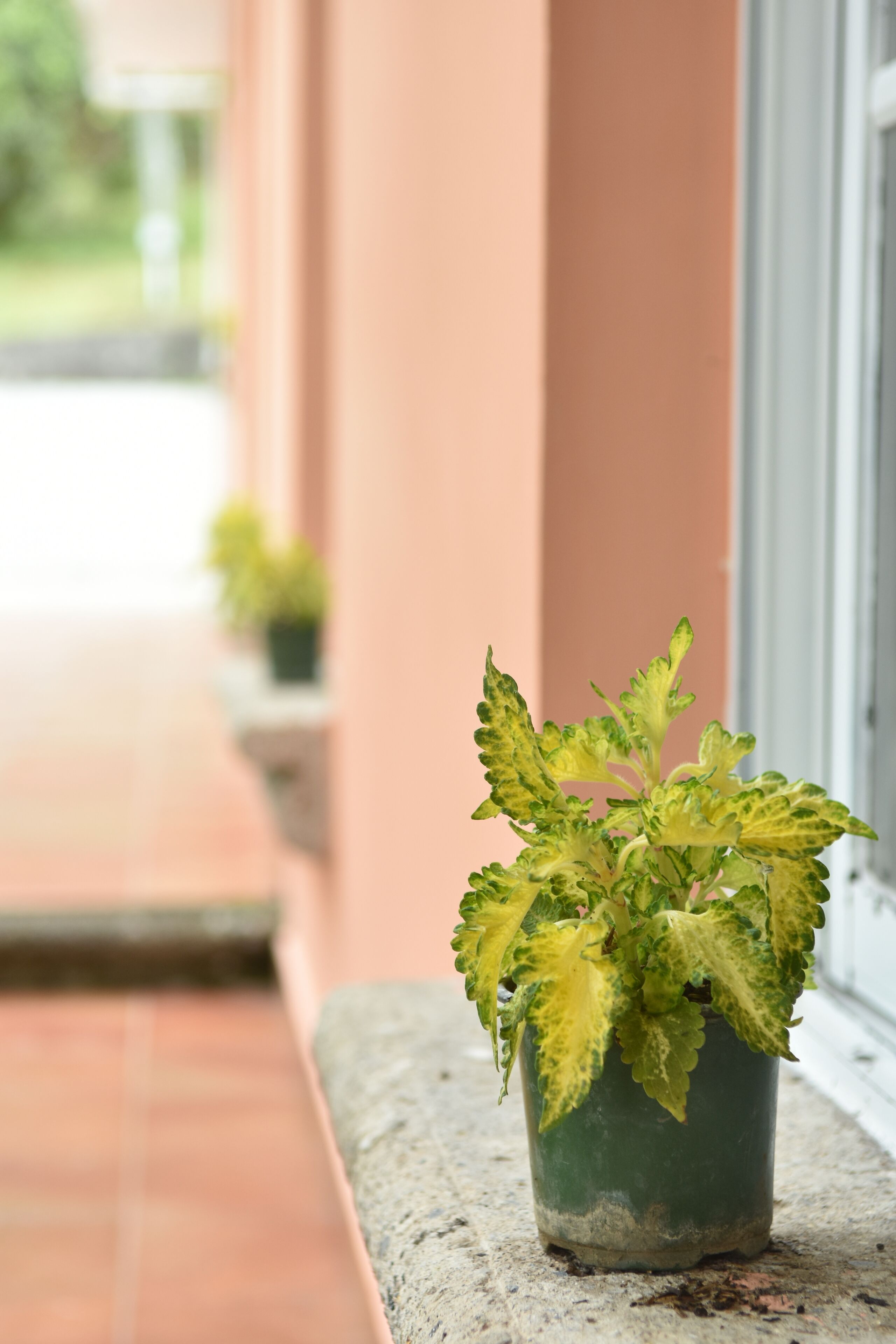 Photo - Uyuca Vista Family Villa