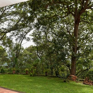 A garden with a large tree, grass, and various plants. - Uyuca Vista Family Villa (San Antonio de Oriente)