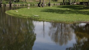 Un lac paisible, bordé d’une rive herbeuse et dont les arbres se reflètent dans l’eau.
