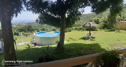 Chalet en bois et atypiques