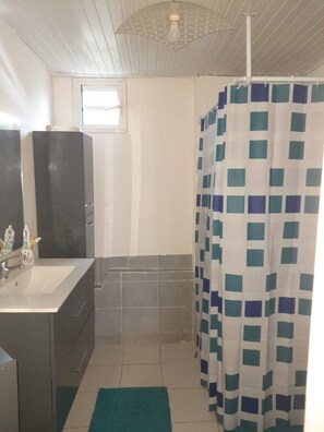 Shower, toilet paper - Wooden and atypical chalet (Le Diamant)
