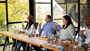 A group of people seated at a long wooden table with wine glasses and water bottles, in a room with large windows and a view of trees.