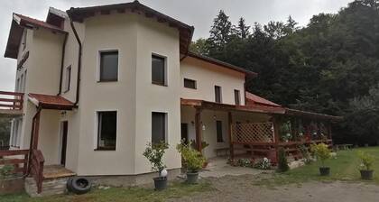 Pensiunea Rozelor