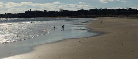 Plage à proximité, serviettes de plage