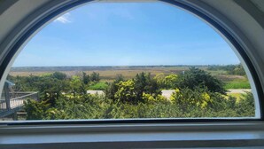 A view from a window with a semi-circular frame, overlooking a landscape with trees and open fields. - Contentment: Spacious home, den, screened porch, marsh views. (Ocracoke)