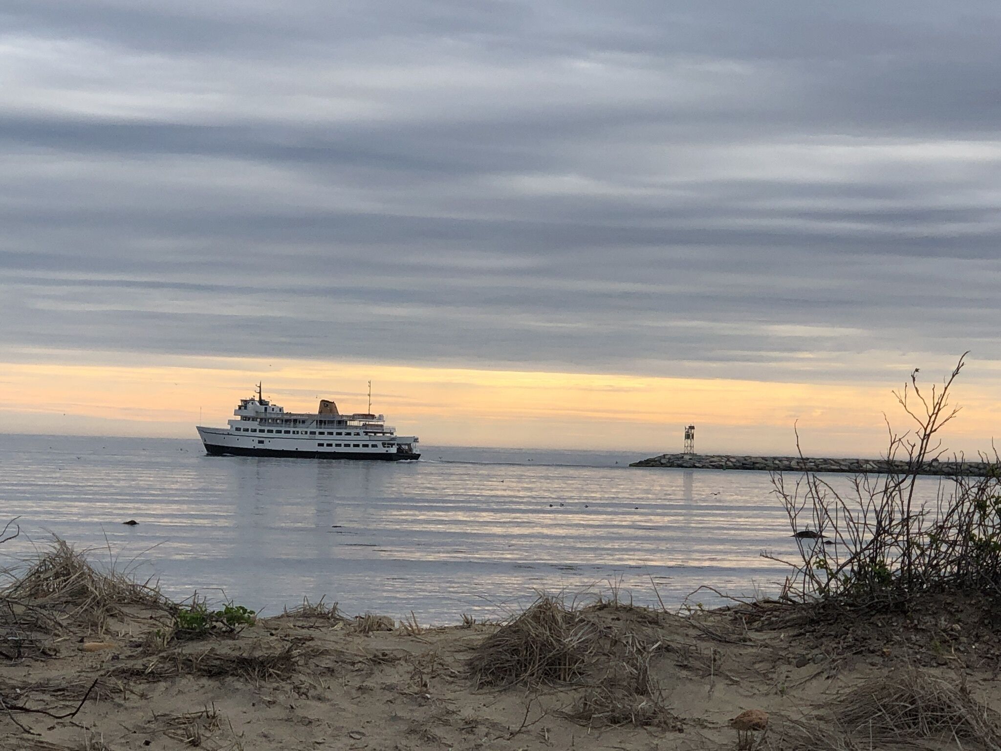 ferry terminal shuttle